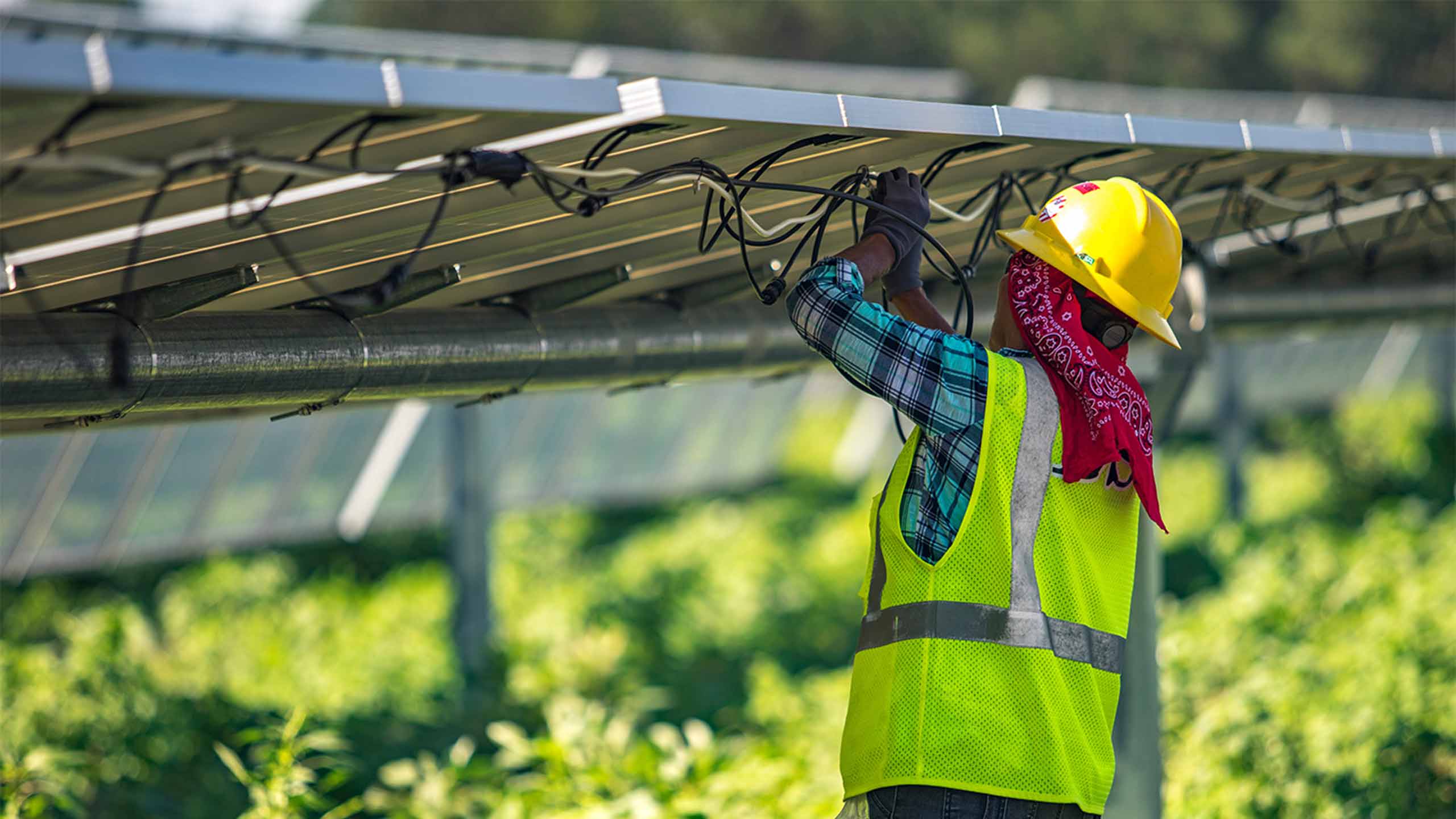 Engineer working on a solar array, inspecting the connections